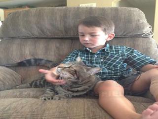 boy and cat