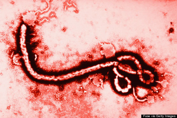 EBOLA