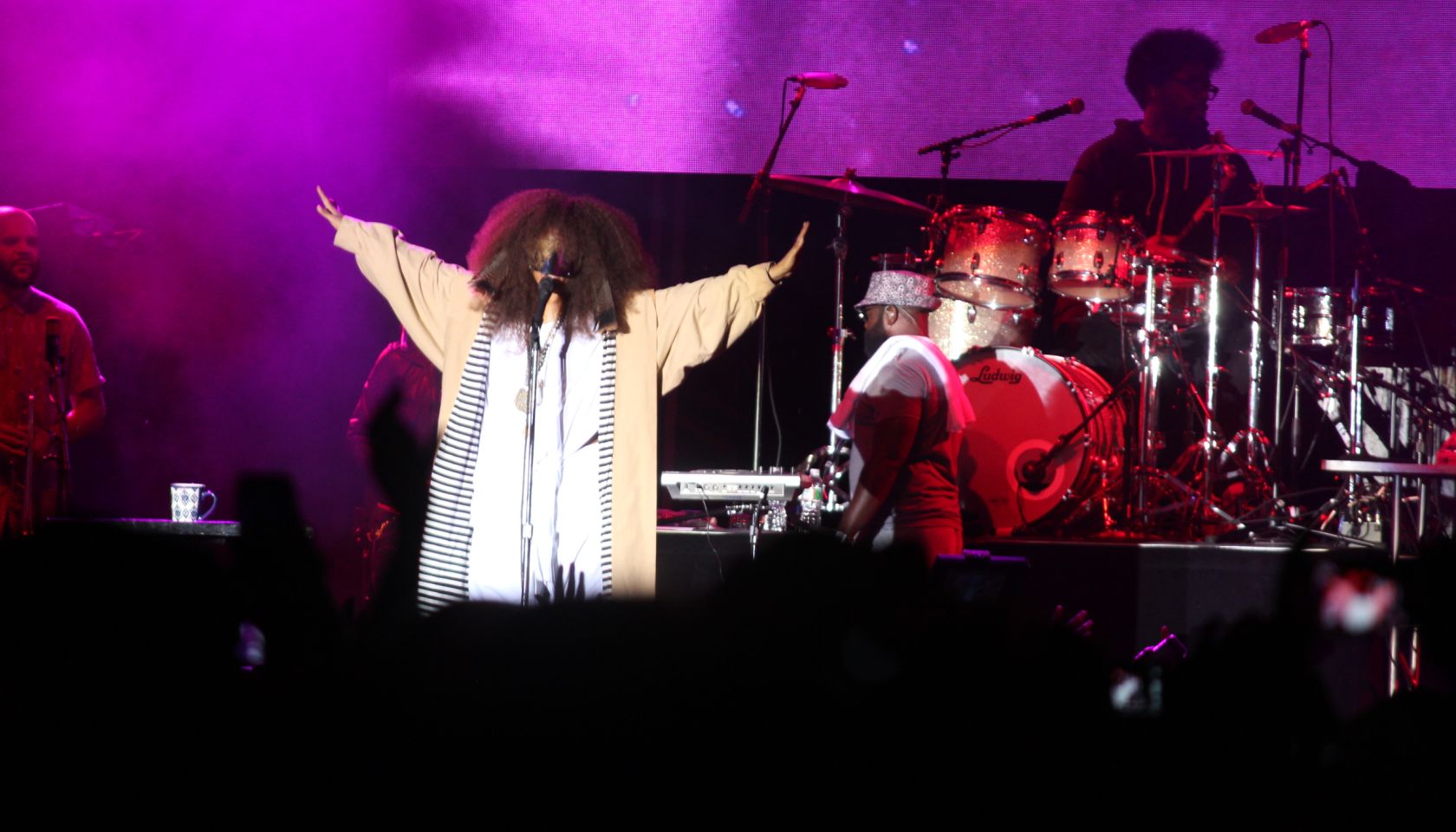 Roots Picnic 2015