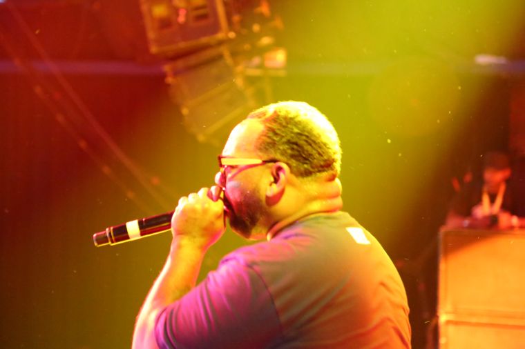 Raekwon Live at Freefest 2015 {Exclusive Pictures}