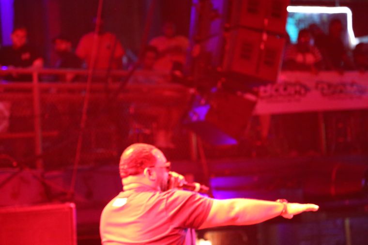 Raekwon Live at Freefest 2015 {Exclusive Pictures}