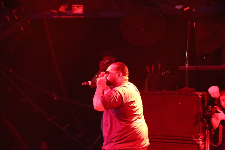 Raekwon Live at Freefest 2015 {Exclusive Pictures}