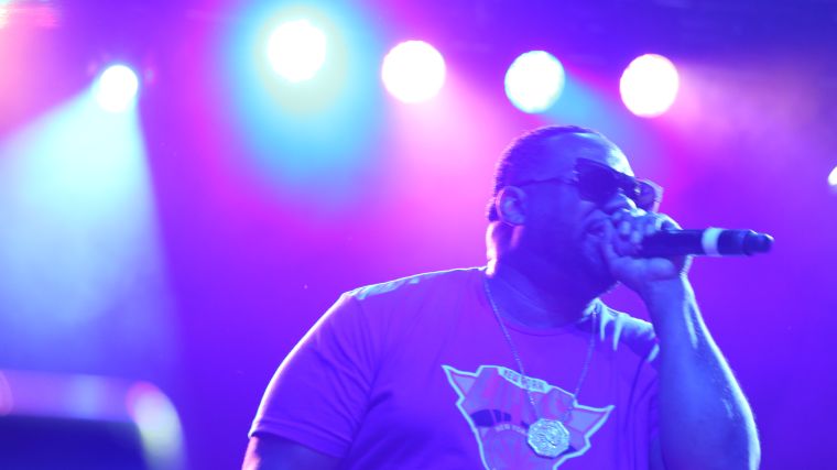 Raekwon Live at Freefest 2015 {Exclusive Pictures}