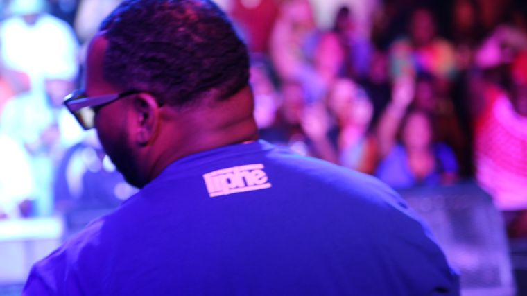 Raekwon Live at Freefest 2015 {Exclusive Pictures}