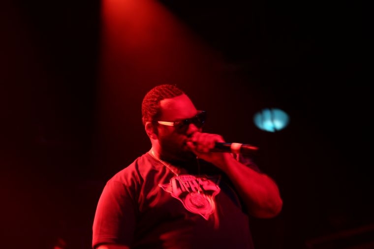 Raekwon Live at Freefest 2015 {Exclusive Pictures}