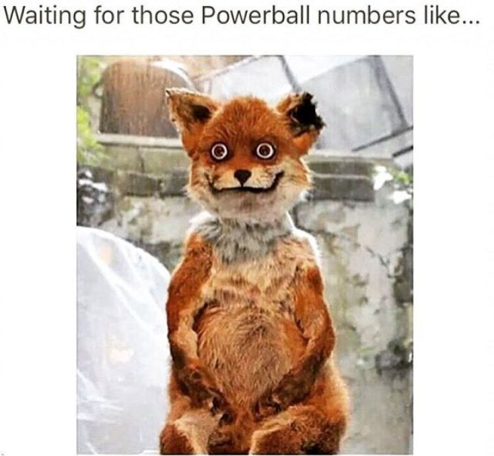Hilarious Powerball Memes