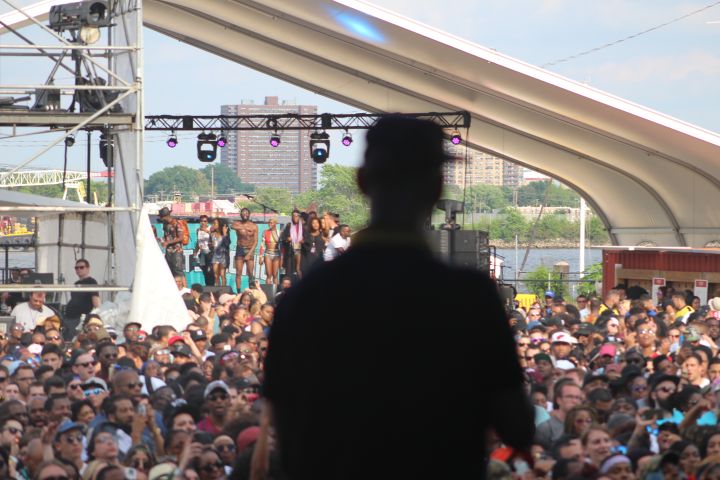 Live From The Roots Picnic 2016 {Stage Views}