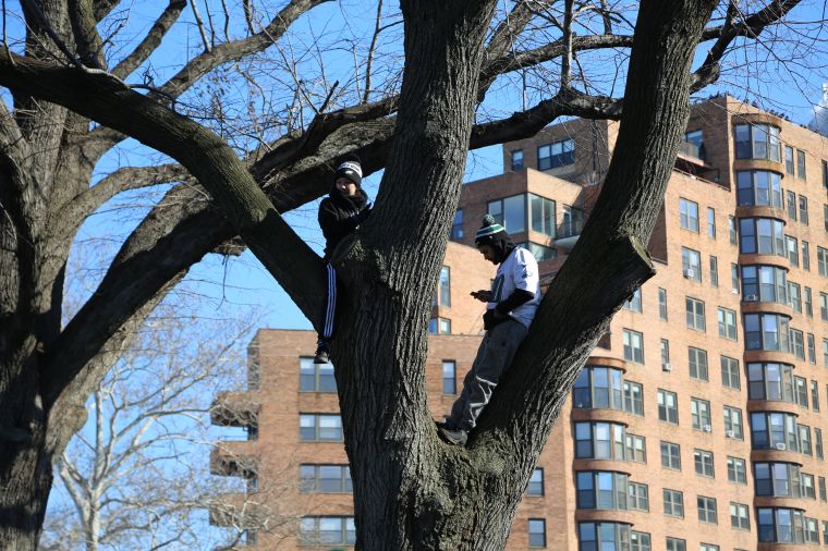 Eagles Parade 2018