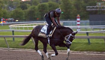 The 143rd Preakness Stakes-Previews