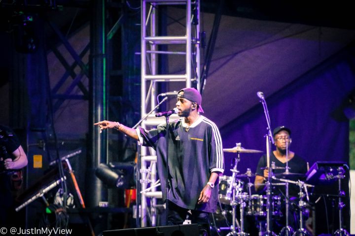 Roots Picnic 2018