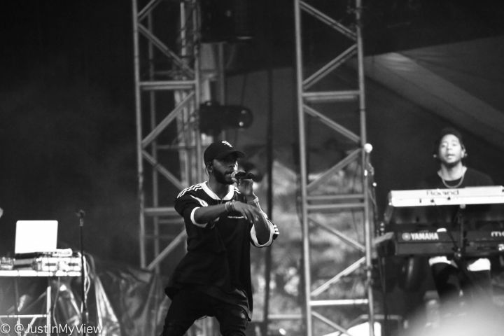 Roots Picnic 2018
