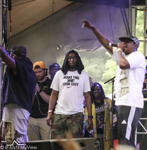 Roots Picnic 2018