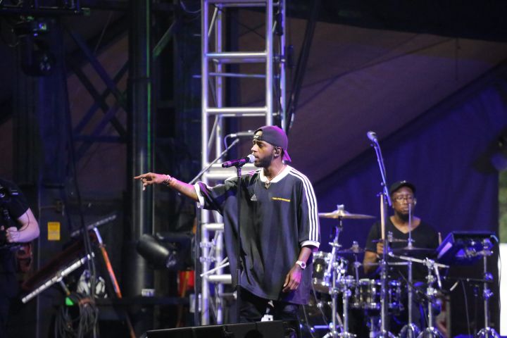 Roots Picnic 2018