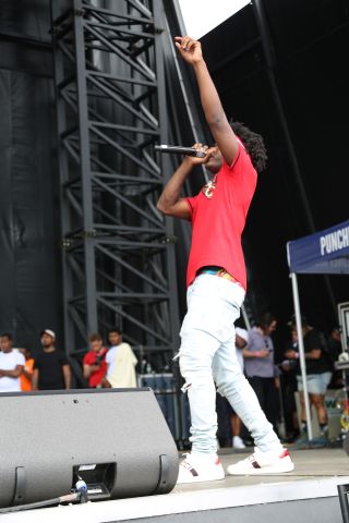 Roots Picnic 2018
