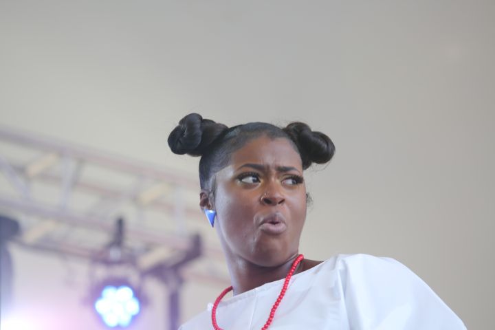 Roots Picnic 2018