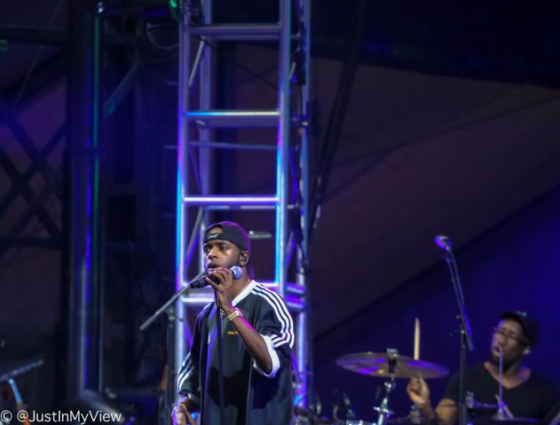 Roots Picnic 2018