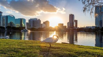 Orlando city at sunset in Lake Eola, Florida