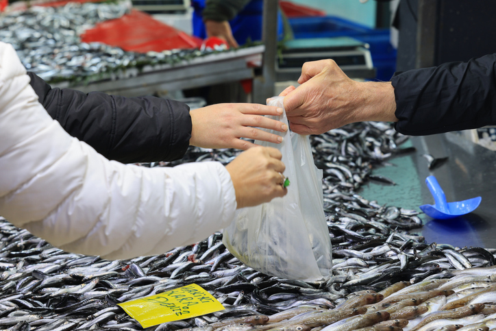 Fresh fish for sale in fish market