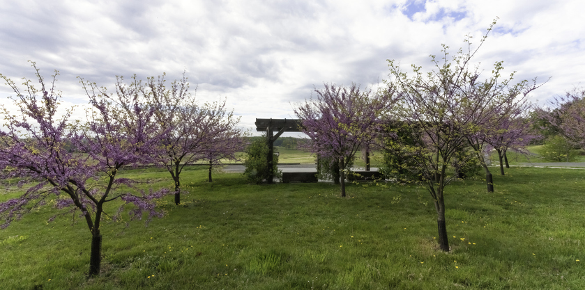 A Spring Day at Valley Forge Park