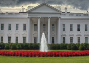 The White House in Washington DC