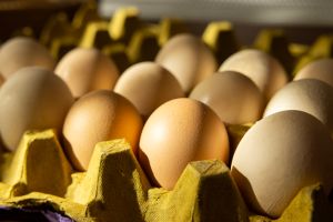 organic eggs in a carton