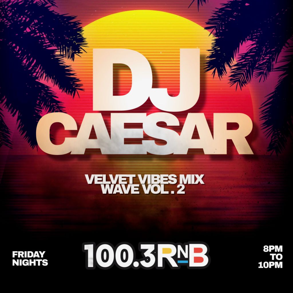 Velvet Vibes Mixwave Vol. 2-2025