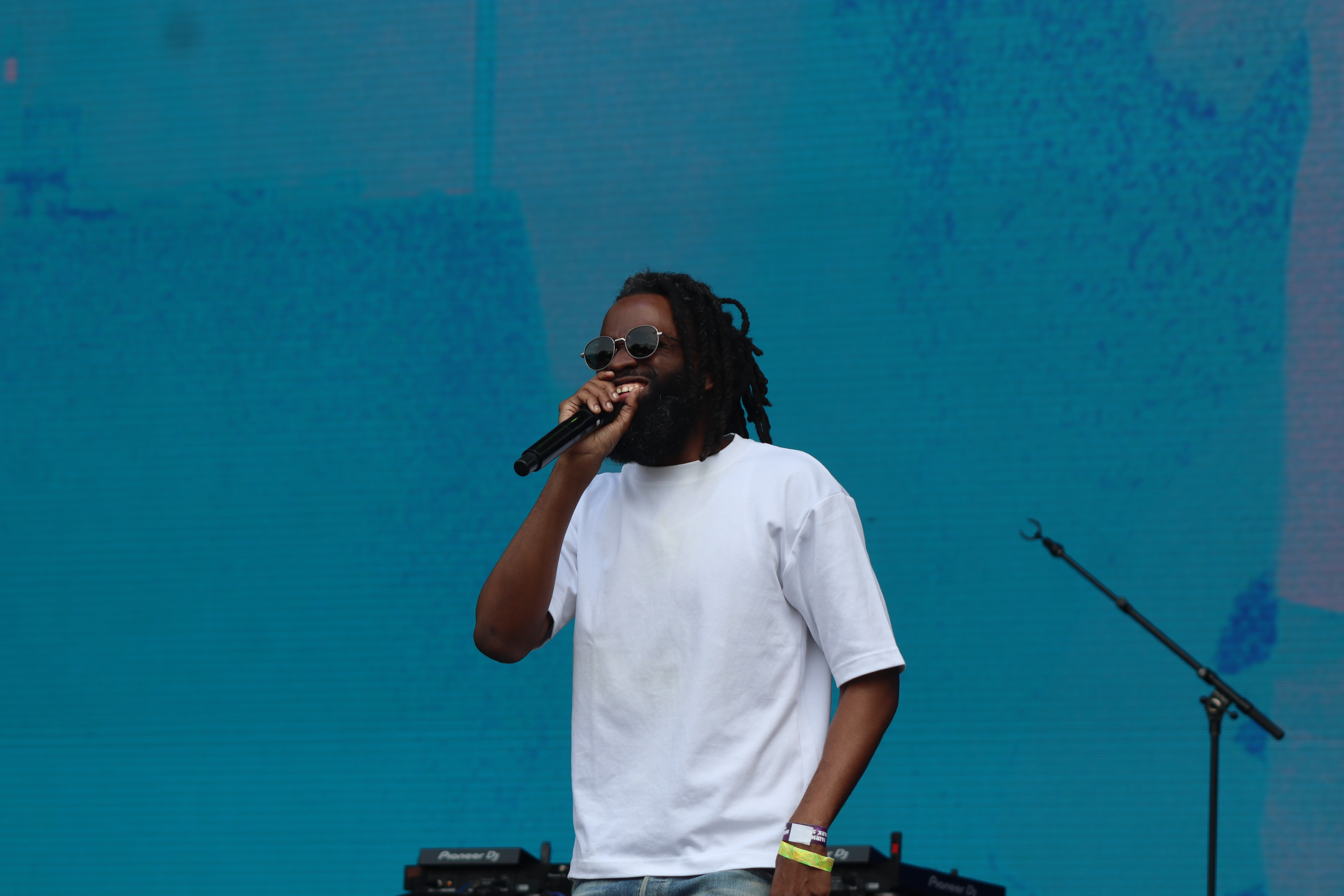 Roots Picnic 2025 Day 2