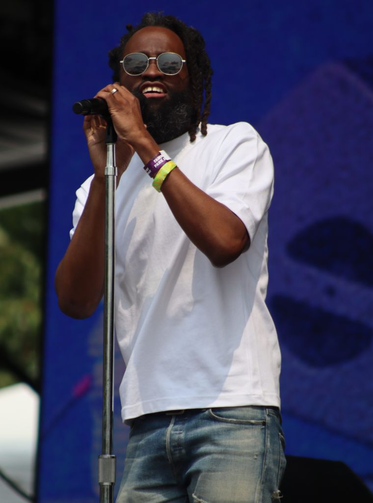 Roots Picnic 2025 Day 2