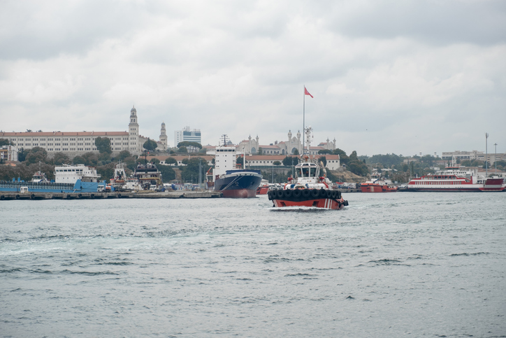 Bosphorus Strait showcasing tugboats and cargo ships under a cloudy sky during daytime