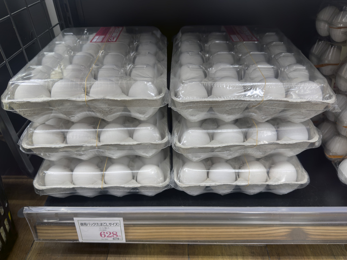 Bulk Pack of 20 White Eggs on a Shelf in Yokohama