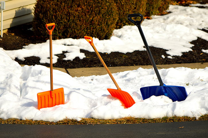 Shovels in Snow