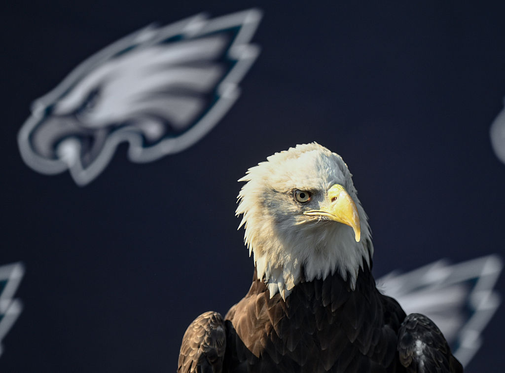 NFL: AUG 03 Philadelphia Eagles Training Camp