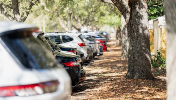 Top 10 Easiest Cars to Steal and Why They Are Vulnerable