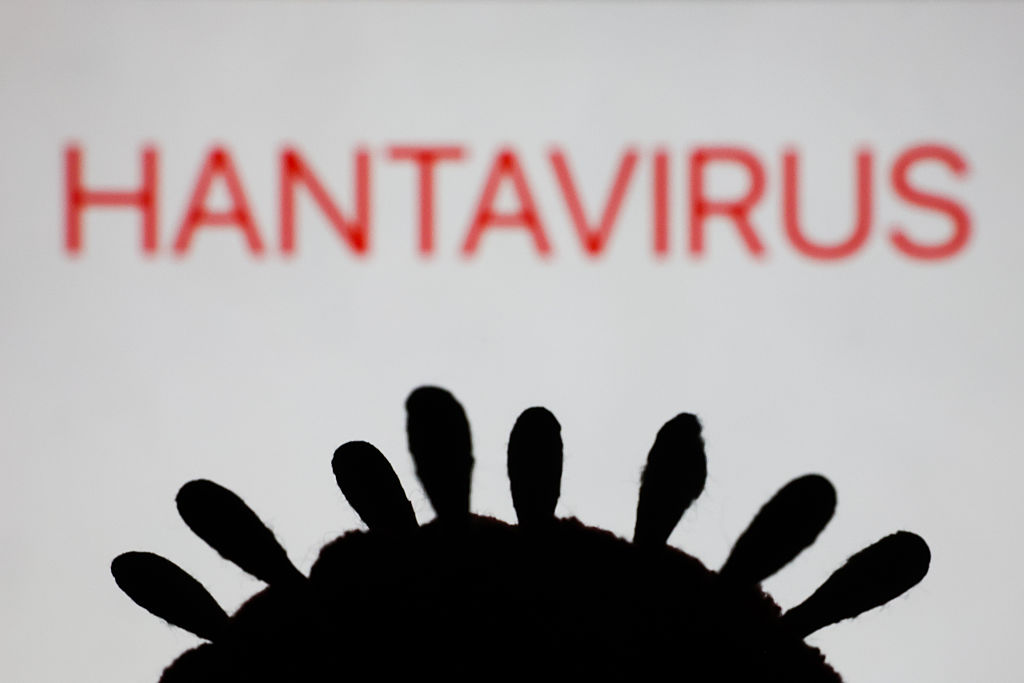 Hantavirus Photo Illustration