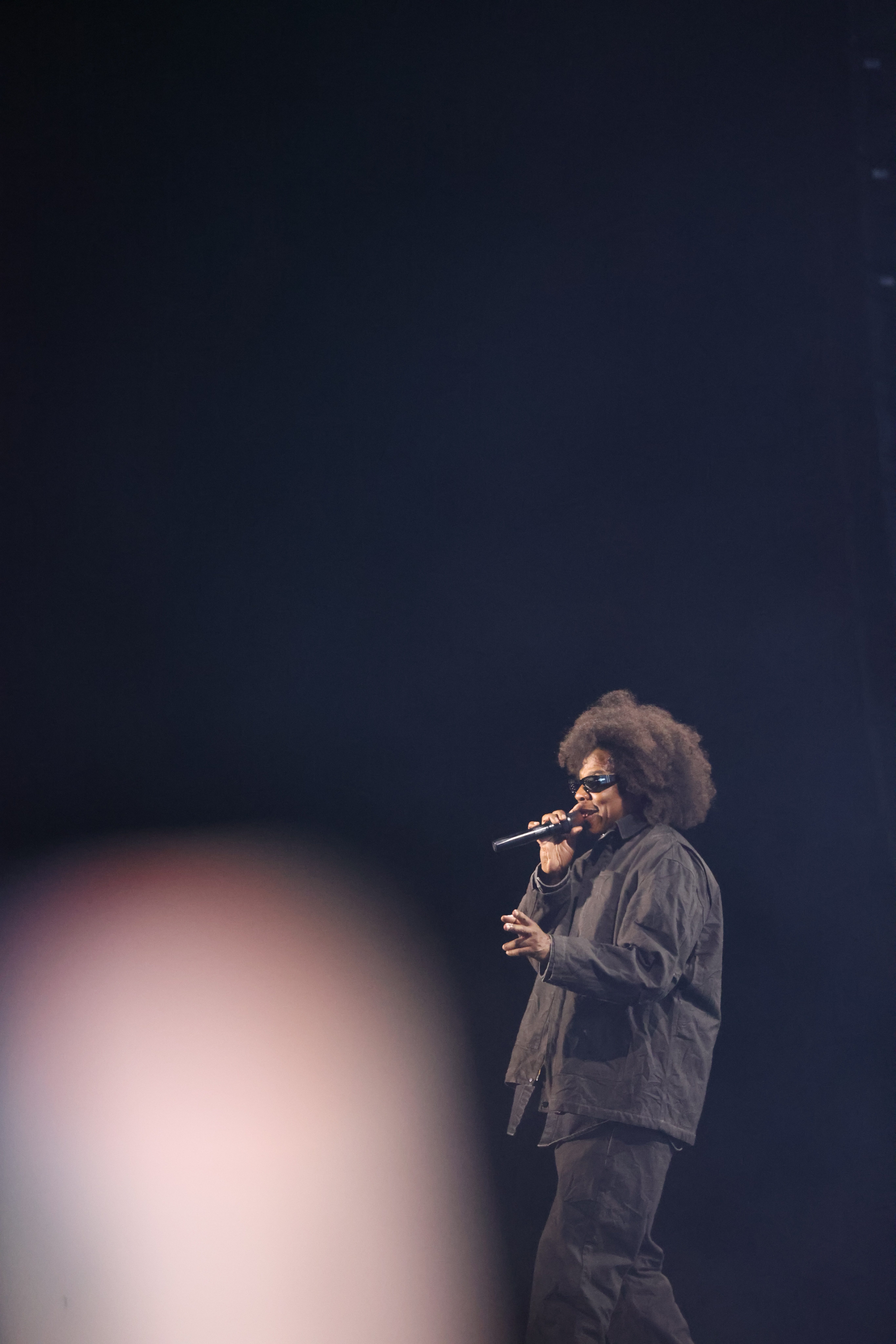 Roots Picnic 2026