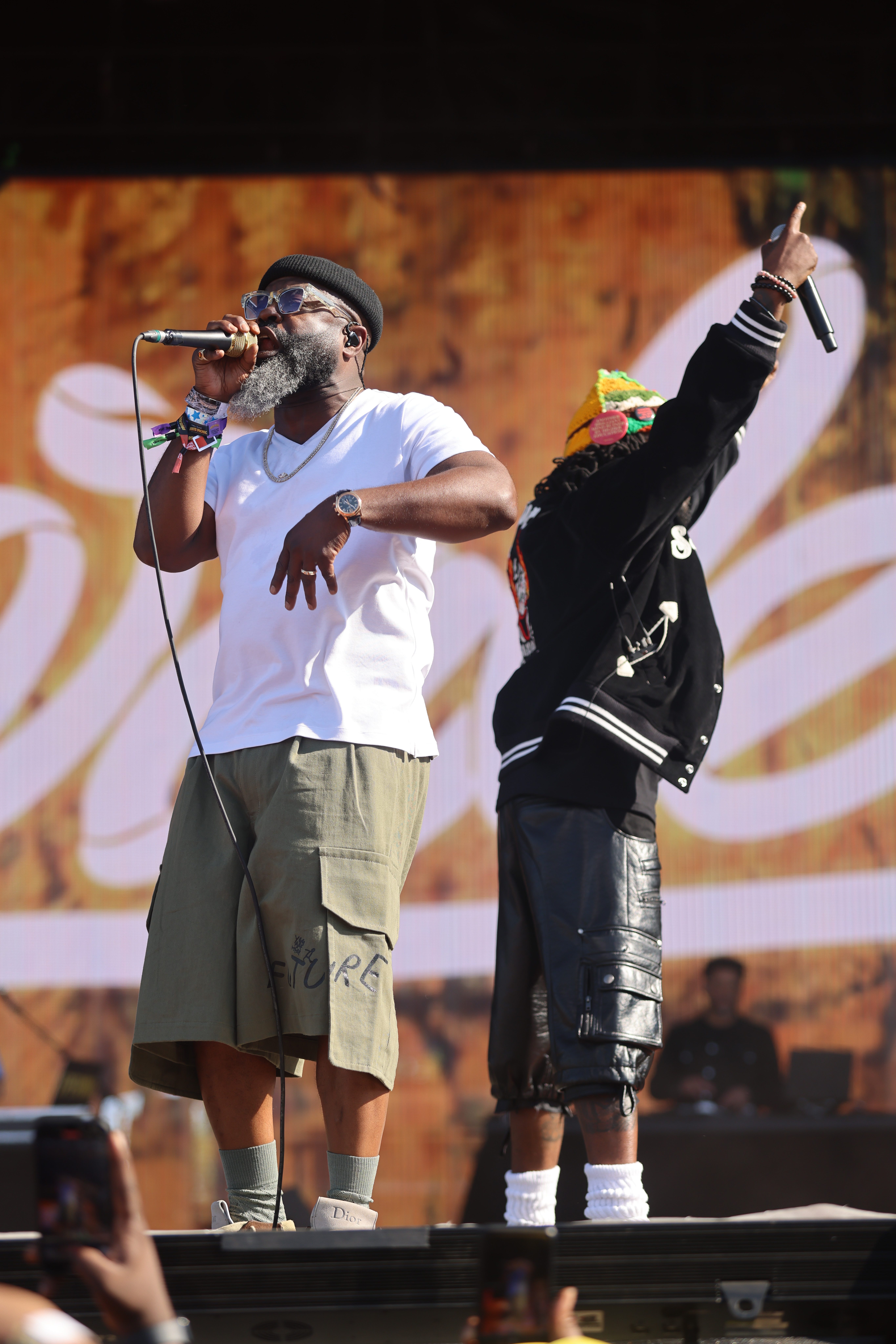 Roots Picnic 2026