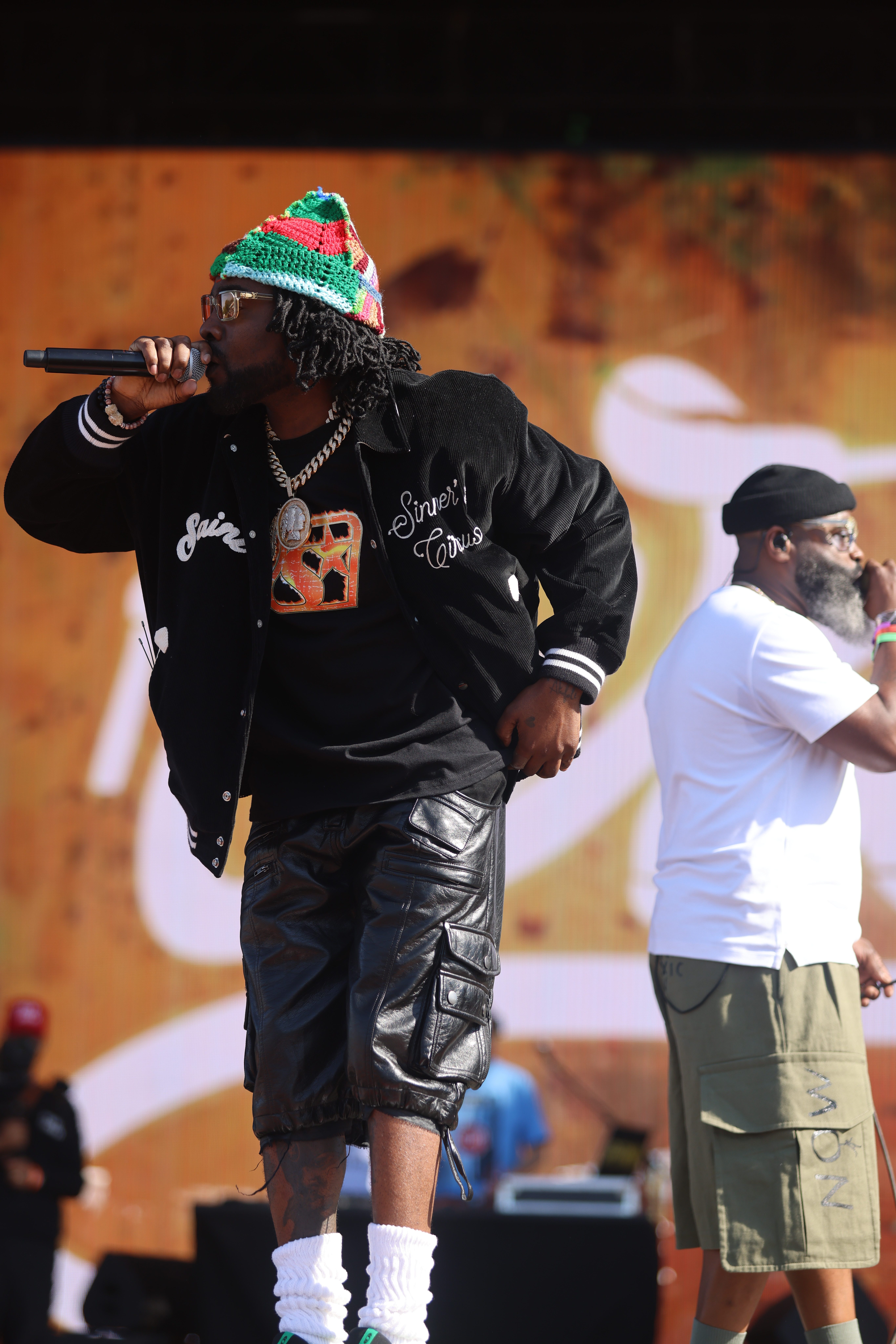 Roots Picnic 2026