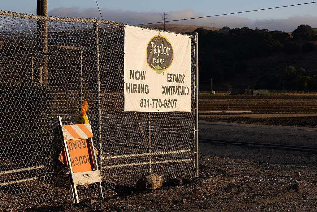 Cyclosporiasis Outbreak Traced To Iceberg Lettuce From Produce Giant Taylor Farms