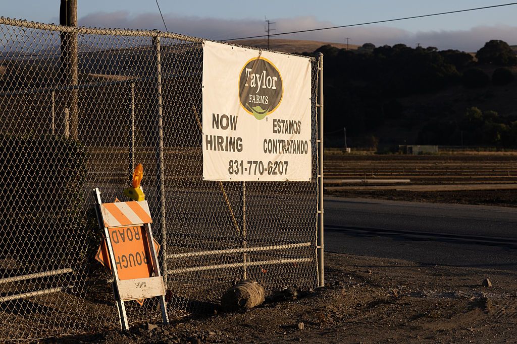 Cyclosporiasis Outbreak Traced To Iceberg Lettuce From Produce Giant Taylor Farms
