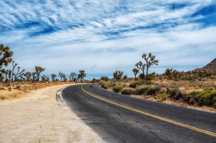 Road in Joshua Tree National Park California