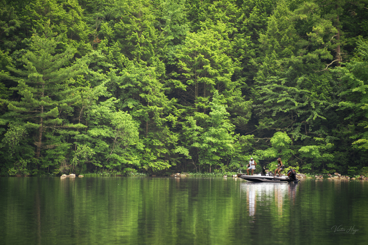 Two people fishing from a boat on a calm lake surrounded by lush green forest,Jim Thorpe,United States,USA