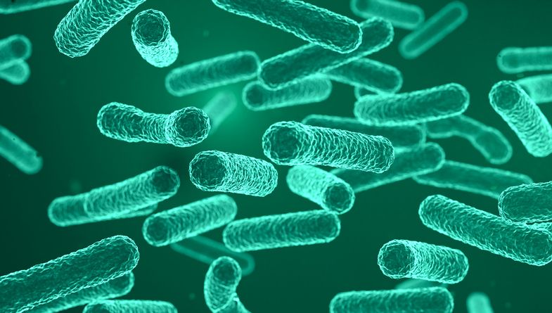 Green fluorescent bacteria or virus under a microscope.